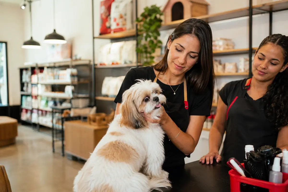 Profissionais brasileiras atendendo um cão em um pet shop